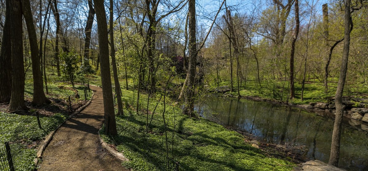 Valley Stream West End, NY - The Ravine | Central Park Conservancy